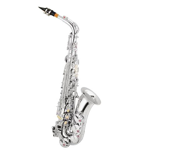 Cheap Alto Saxophone XAL1002