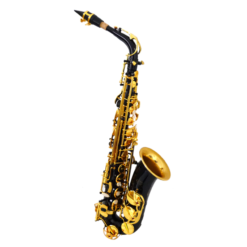 Best Alto Saxophone XAL1100
