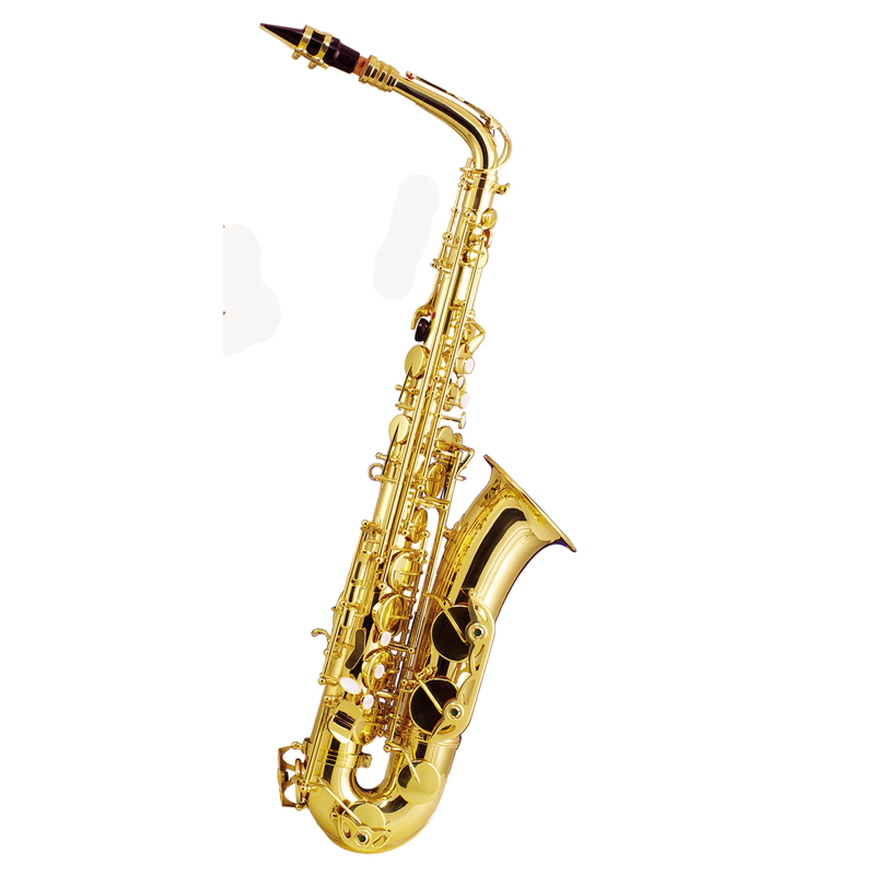 C Key Alto Saxophone XALC200