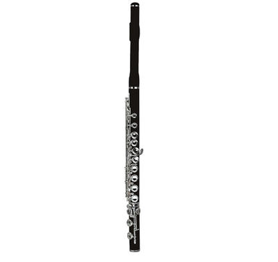 Ebony Flute XFL302