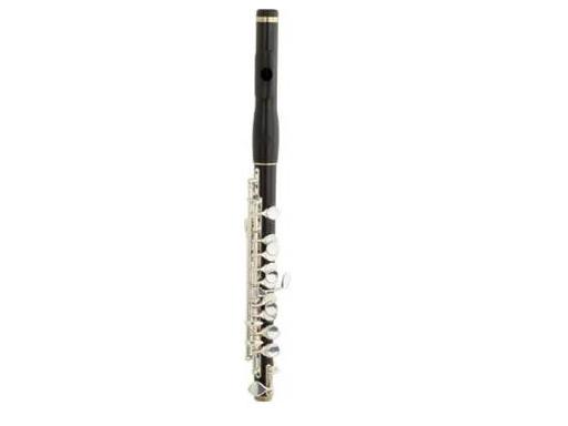 professional Ebony Piccolo XPC202