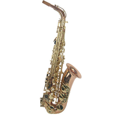 Professional Alto Saxophone XAL1018EX