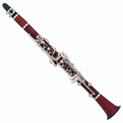 Rosewood Bb Clarinet XCL108