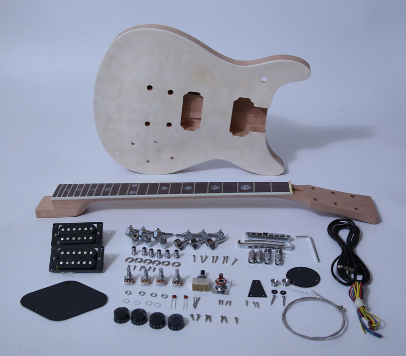 PRS Electric Guitar Kits SNGK003