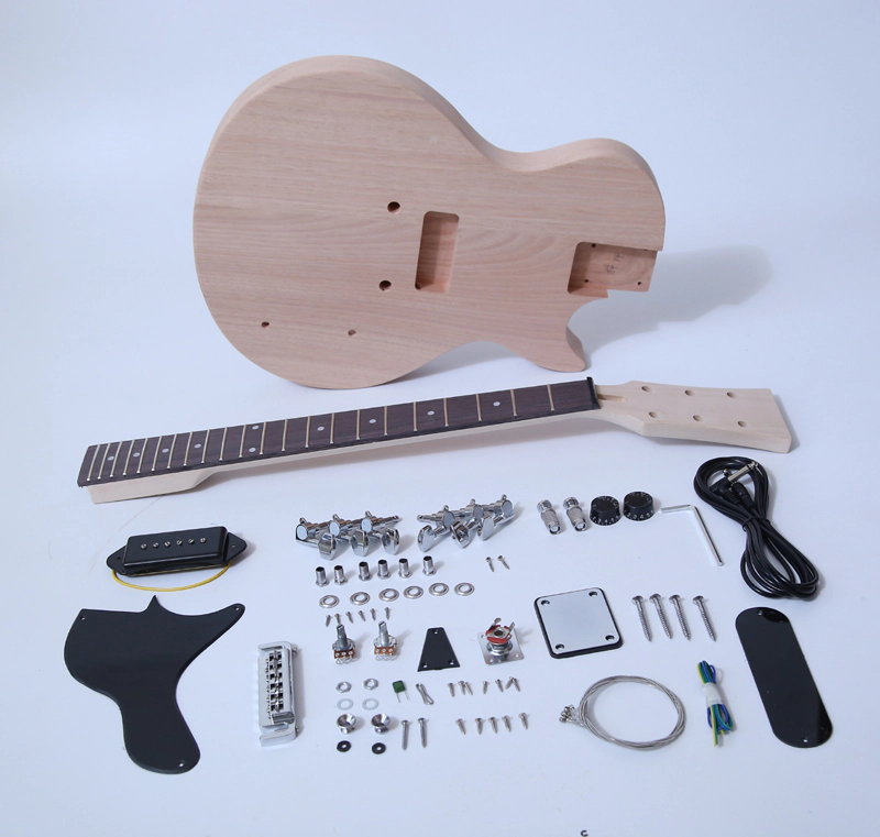 Chinese Electric Guitar Kits SNGK028