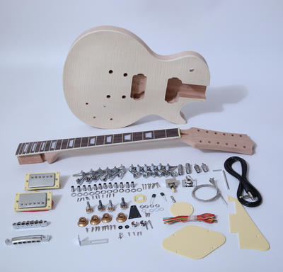 DIY Electric Guitar Kit-Singlecut 12 String Style Build Your Own Guitar Kit SNGK038