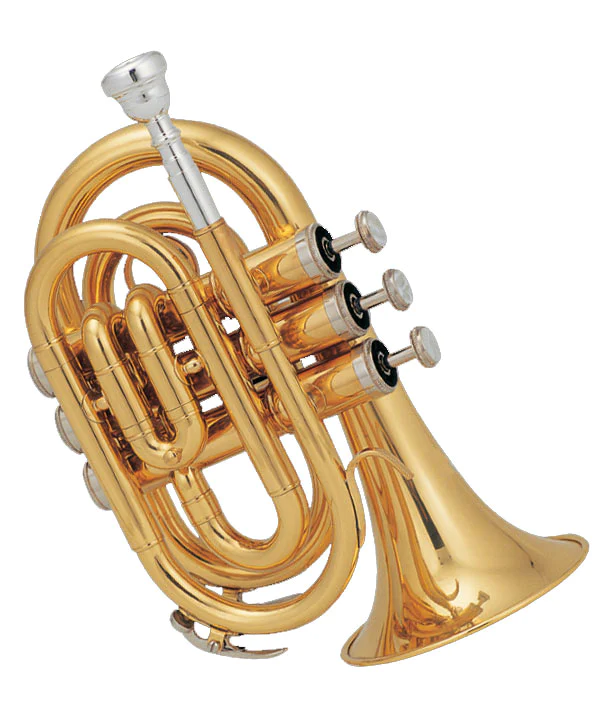 Pocket Trumpet XTR002