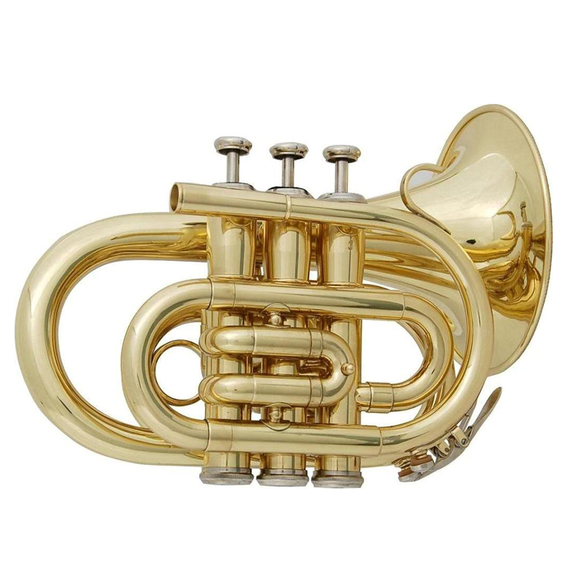 Big Bell Pocket Trumpet XTR002B