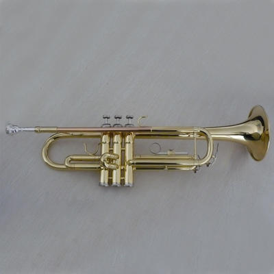 Trumpet brass instruments XTR001G