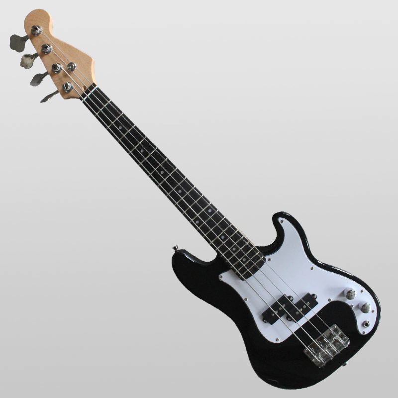 Electric Bass guitar SNEB024 customization