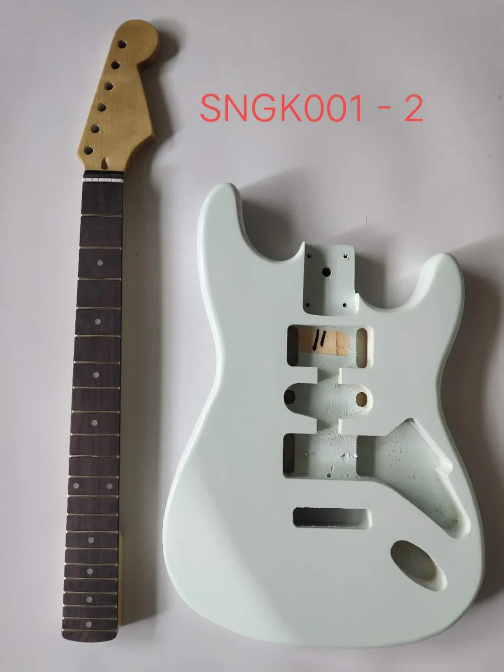 SNGK001-2 ST Guitar Kits with Paiting