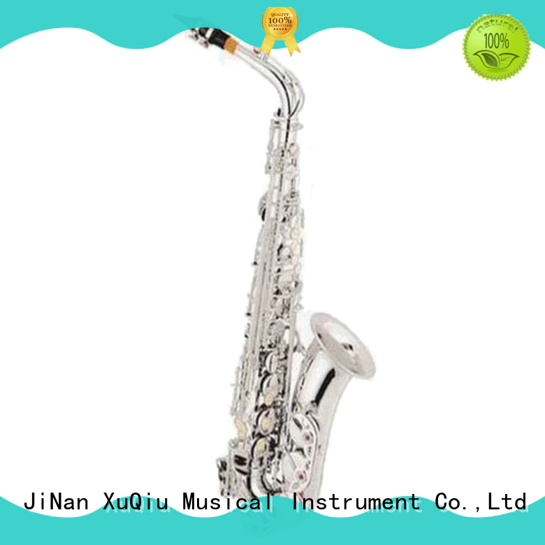 professional best student alto saxophone xal1003 manufacturer for student