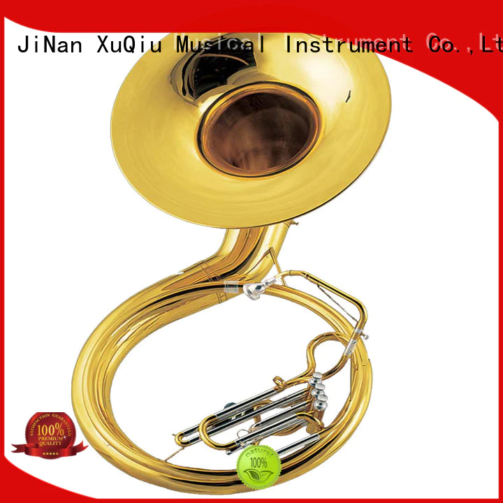 best sousaphone instrument price for kids