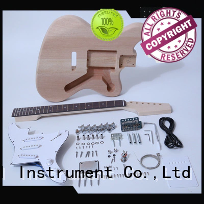 custom double neck guitar kit for sale for kids