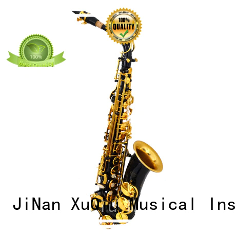 best vito alto saxophone brands for student