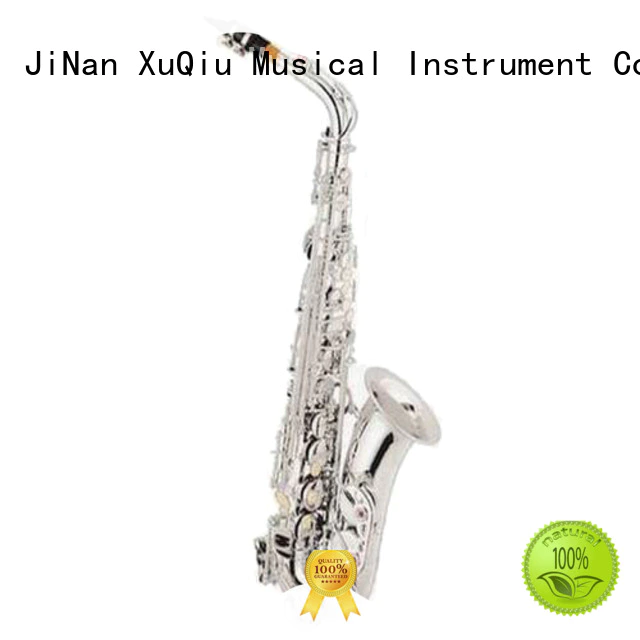 best beginner alto saxophone brands for concert