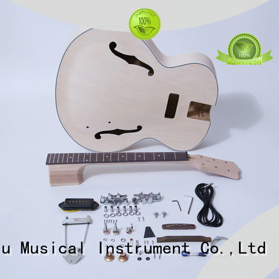 best semi hollow body guitar kit manufacturer for beginner