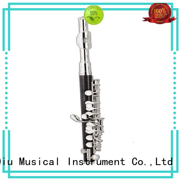 professional flute piccolo for sale for beginner