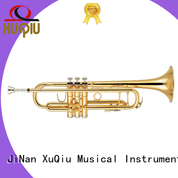 professional best trumpet xtr020 price for beginner