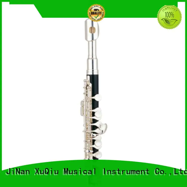 professional flute piccolo band instrument for student