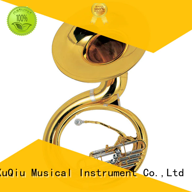 china sousaphone instrument key price for children