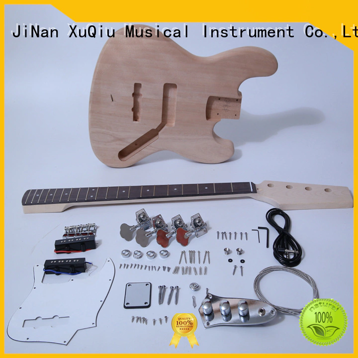 diy bass kits for sale for kids