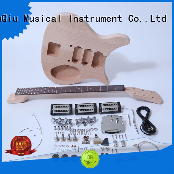 diy best diy electric guitar kits sngk028dc for sale for beginner