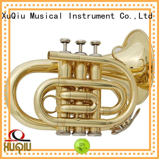 professional best trumpet manufacturer for kids