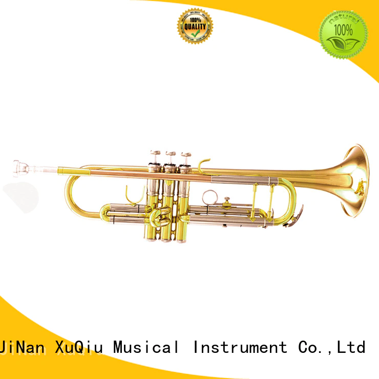 best professional trumpet brands instruments design for student