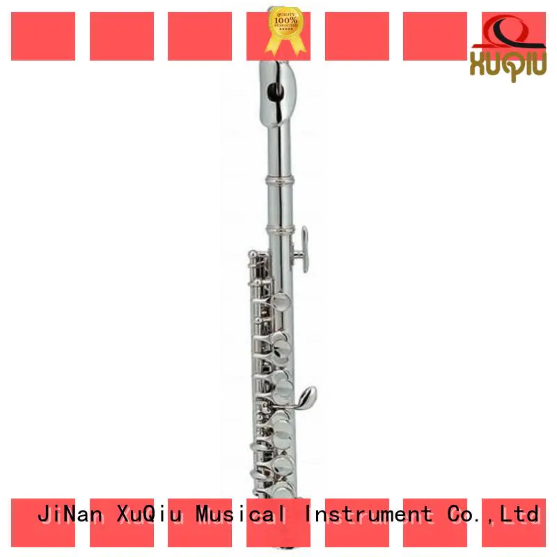 new piccolo woodwind band instrument for student