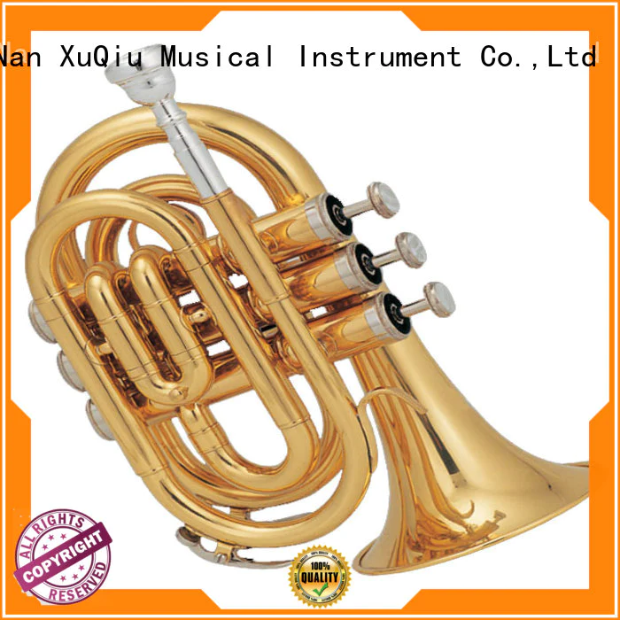 XuQiu best b flat trumpet price for beginner