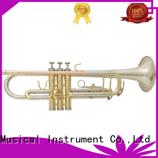 cool bach trumpet xtr020 manufacturer for kids
