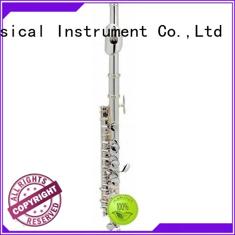 best piccolo musical instrument price for children