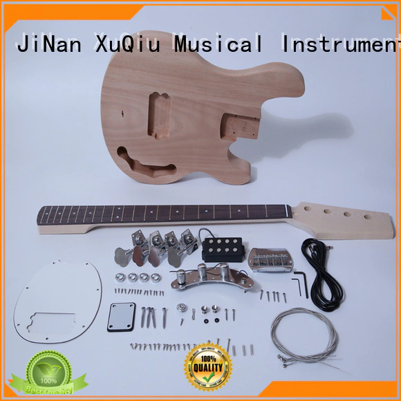 electric acoustic bass kit manufacturer for concert