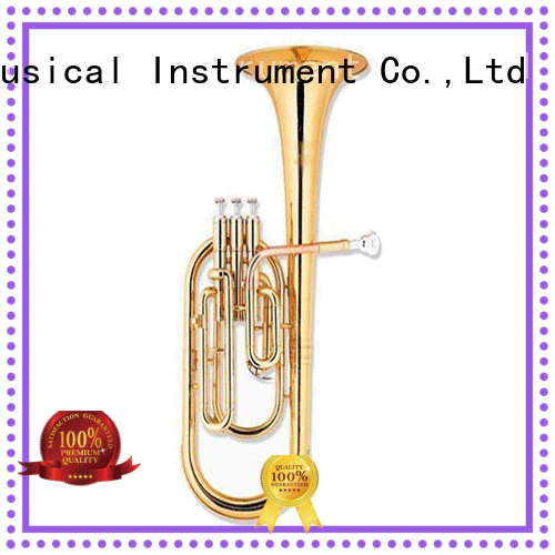 best alto horn horn band instrument for beginner
