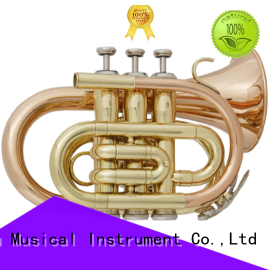 XuQiu student brand new trumpet design for kids