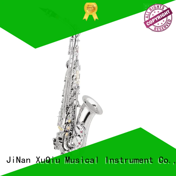 professional student alto saxophone supplier for student