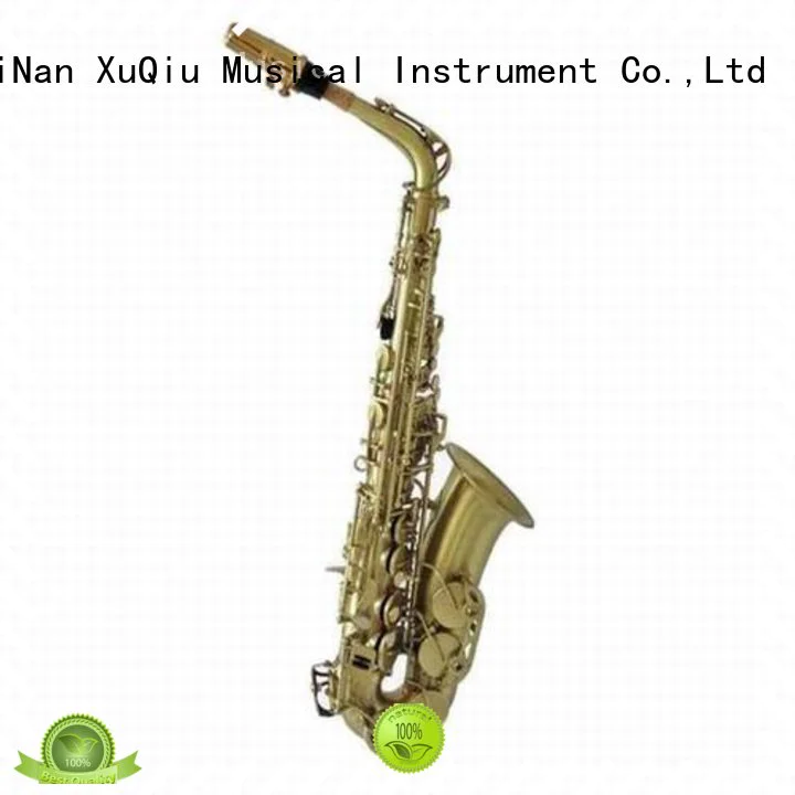 new best professional alto saxophone supplier for student