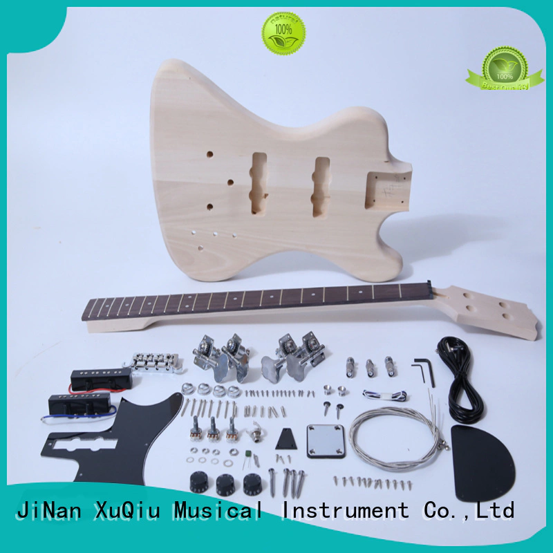 diy bass kit manufacturer for student