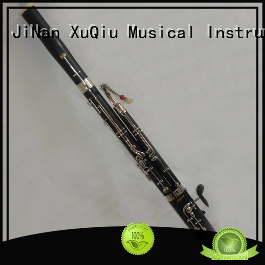 famous bassoon instrument price for beginner