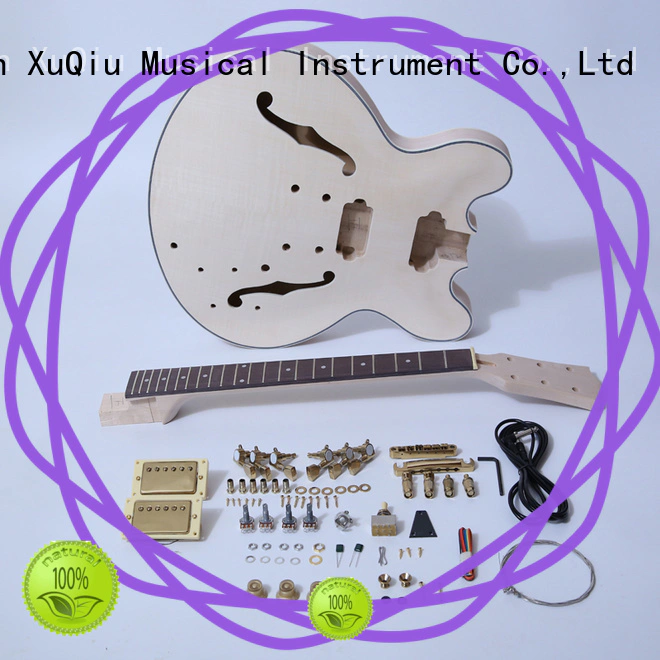 premium do it yourself guitar kits for sale for beginner