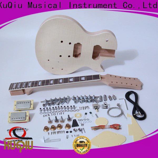 Wholesale best les paul guitar kit sngk018 manufacturer for performance