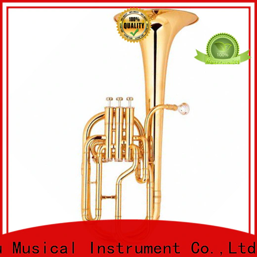 XuQiu buy alto horn vs french horn manufacturers for beginner