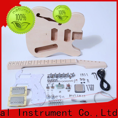 quality rickenbacker style guitar kit handed supplier for beginner