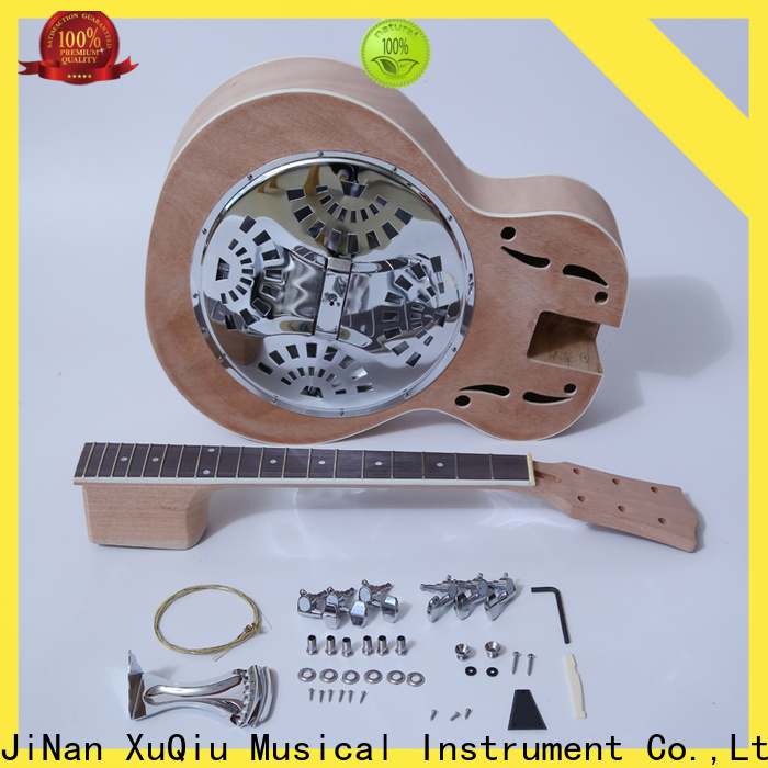 Wholesale Les Paul Jr Guitar Kit Sngk003 Manufacturer For Performance Xuqiu 4183