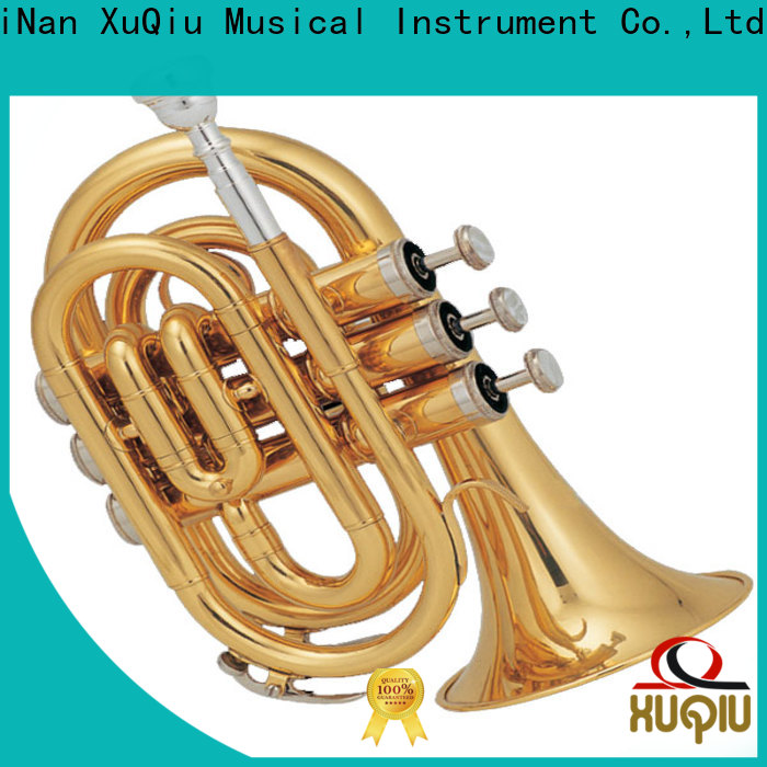 professional trumpet design student manufacturer for beginner