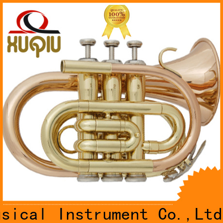 professional b flat trumpet flat design for kids