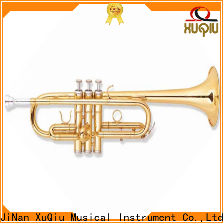 top best professional trumpet brands cornet price for beginner