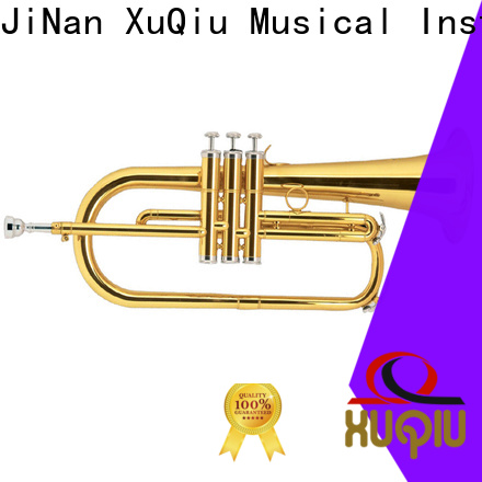 XuQiu xtr001g student trumpet price for kids