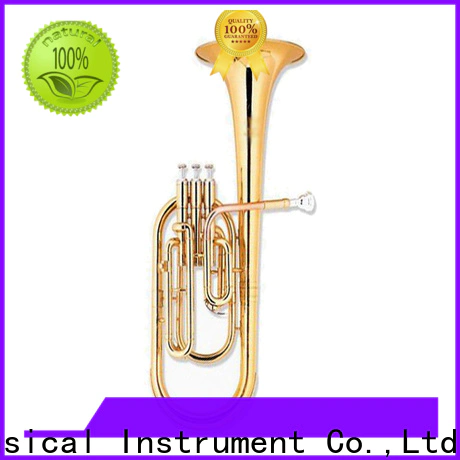 buy alto horn eb band instrument for children